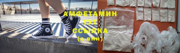 эйфоретик Гусь-Хрустальный