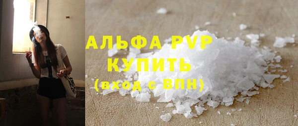 эйфоретик Гусь-Хрустальный