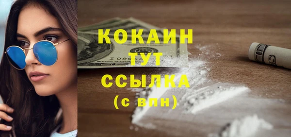 эйфоретик Гусь-Хрустальный