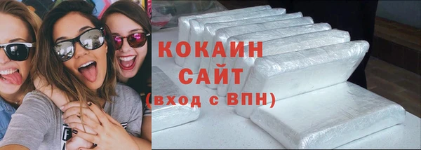 эйфоретик Гусь-Хрустальный