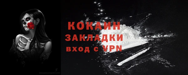 эйфоретик Гусь-Хрустальный