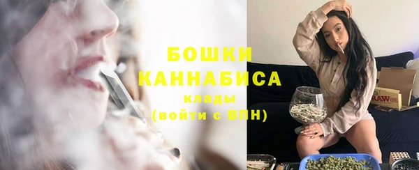 СК Гусев