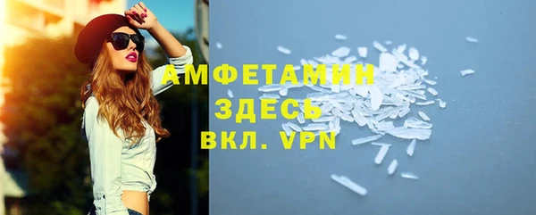 эйфоретик Гусь-Хрустальный