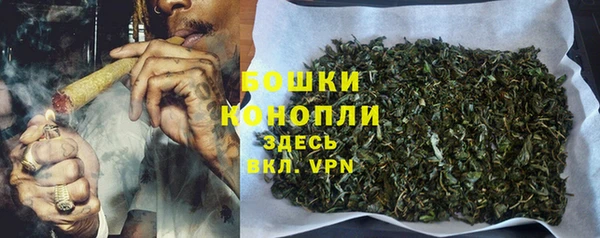 эйфоретик Гусь-Хрустальный