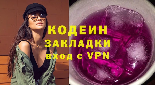 эйфоретик Гусь-Хрустальный