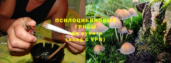 СК Гусев