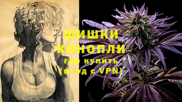 эйфоретик Гусь-Хрустальный