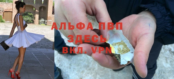 эйфоретик Гусь-Хрустальный