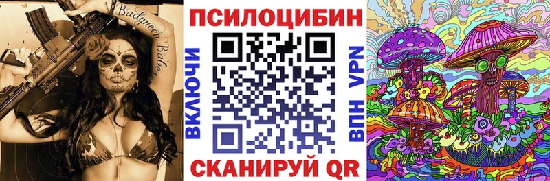 как найти наркотики  Курган  Галлюциногенные грибы мицелий 